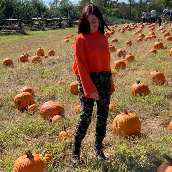 Olivaceous Orange Cropped sweater top - Picture 4 of 10